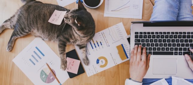 Comment garder sa motivation en travaillant de chez soi ?