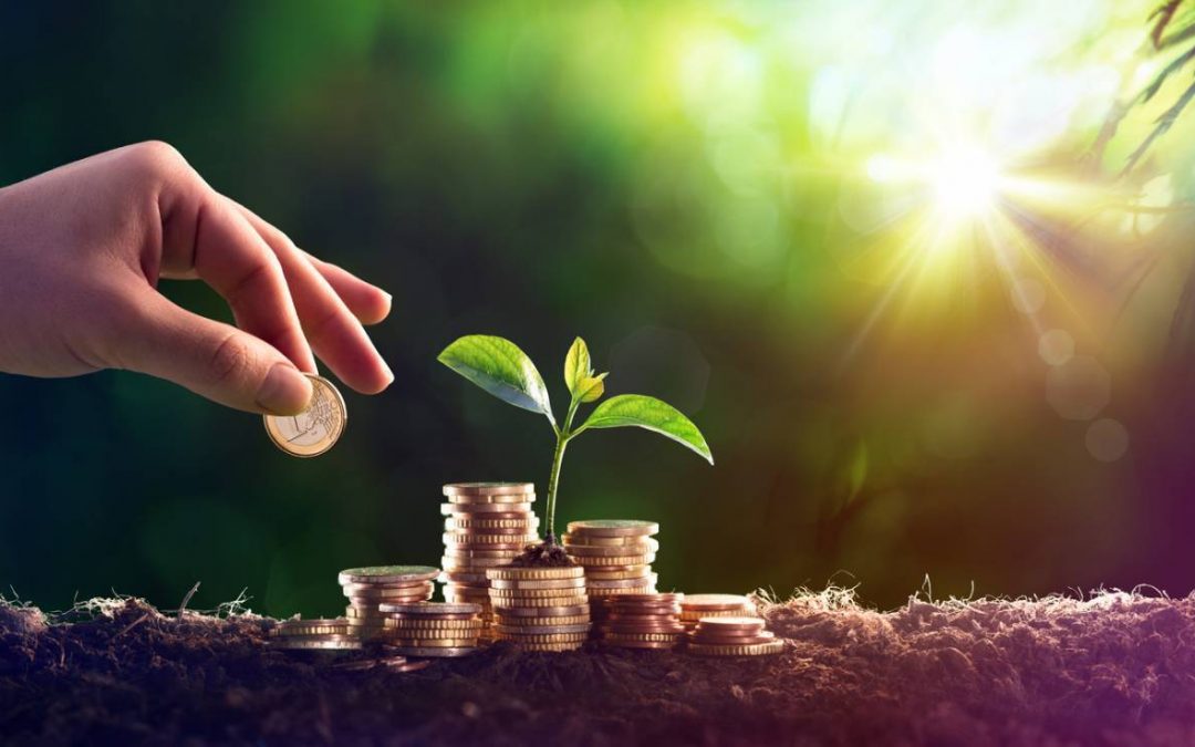 Quels sont les investissements intéressants à privilégier en 2020 ?