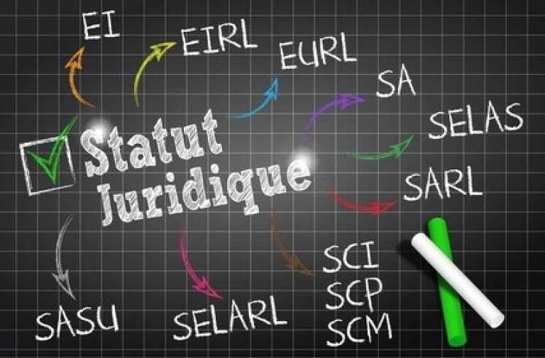 statut juridique société en france