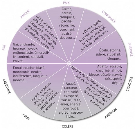 Roue des emotions