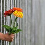 fleur