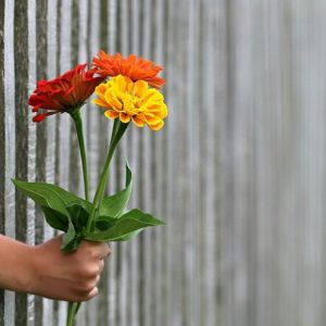 fleur