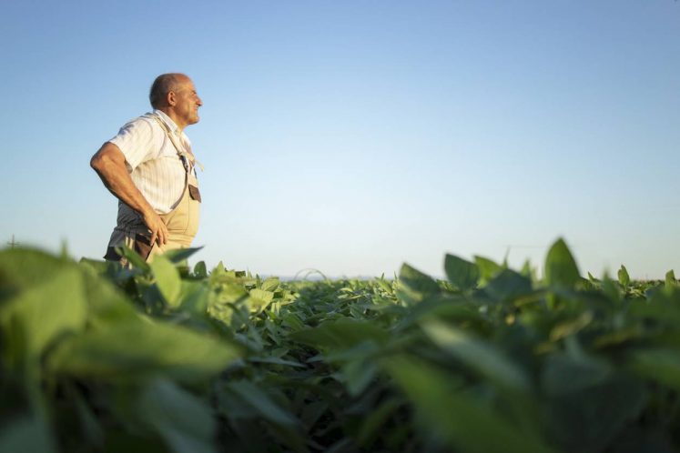 agriculteur