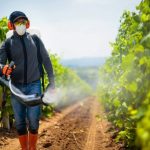 La pompe électrique 12 V pour la pulvérisation agricole