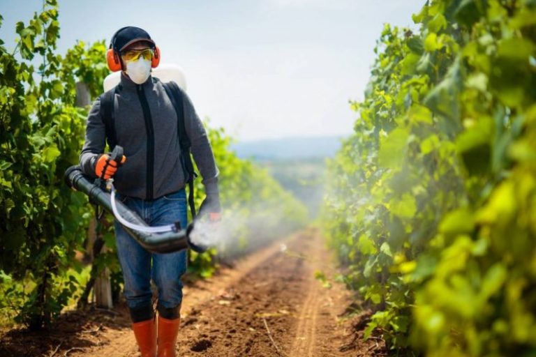 La pompe électrique 12 V pour la pulvérisation agricole