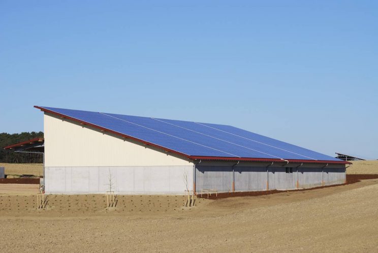 hangar solaire agriculteur