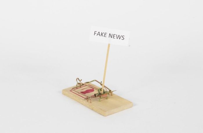 Fake news : comment les combattre ?