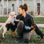 Les métiers animaliers