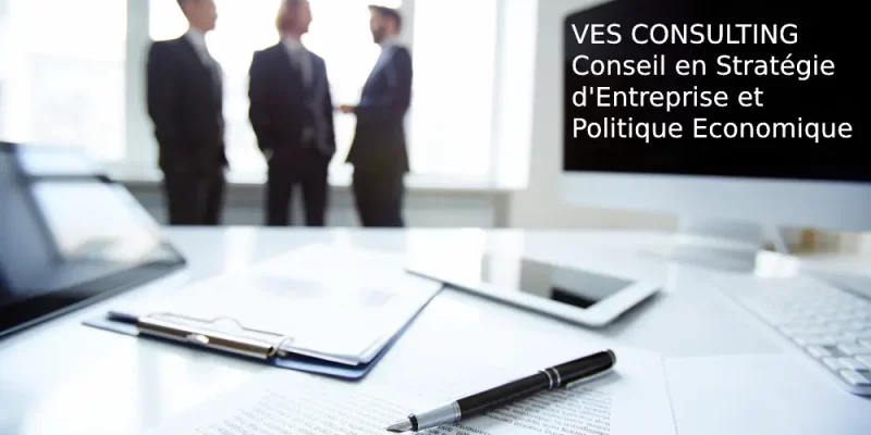 VES Consulting : Conseil en Stratégie d'entreprise et Politique Economique